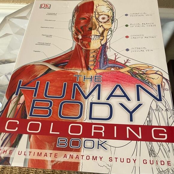 The Human Body Coloring Book - Picture 14 of 14